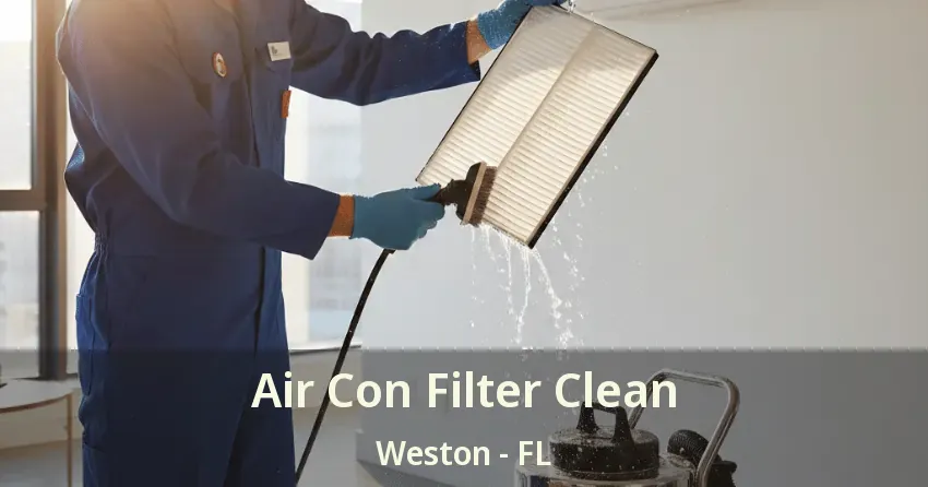 Air Con Filter Clean Weston - FL