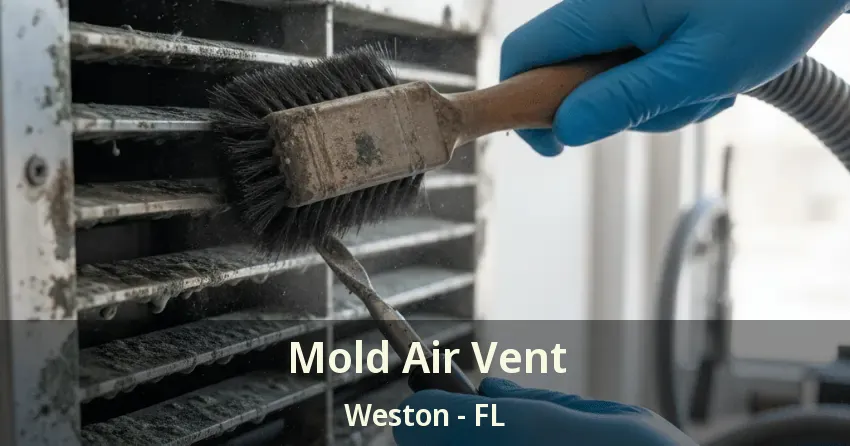 Mold Air Vent Weston - FL