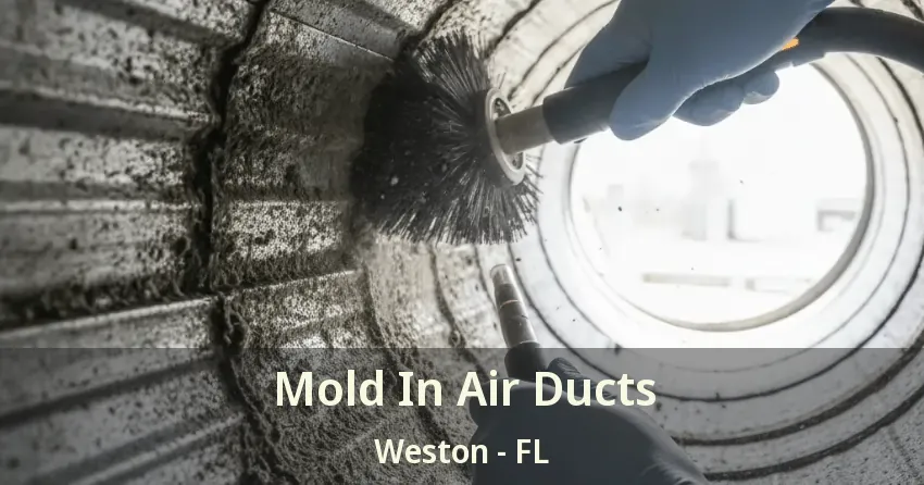 Mold In Air Ducts Weston - FL Mold In Air Ducts Weston - FL