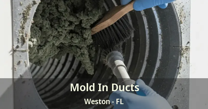 Mold In Ducts Weston - FL